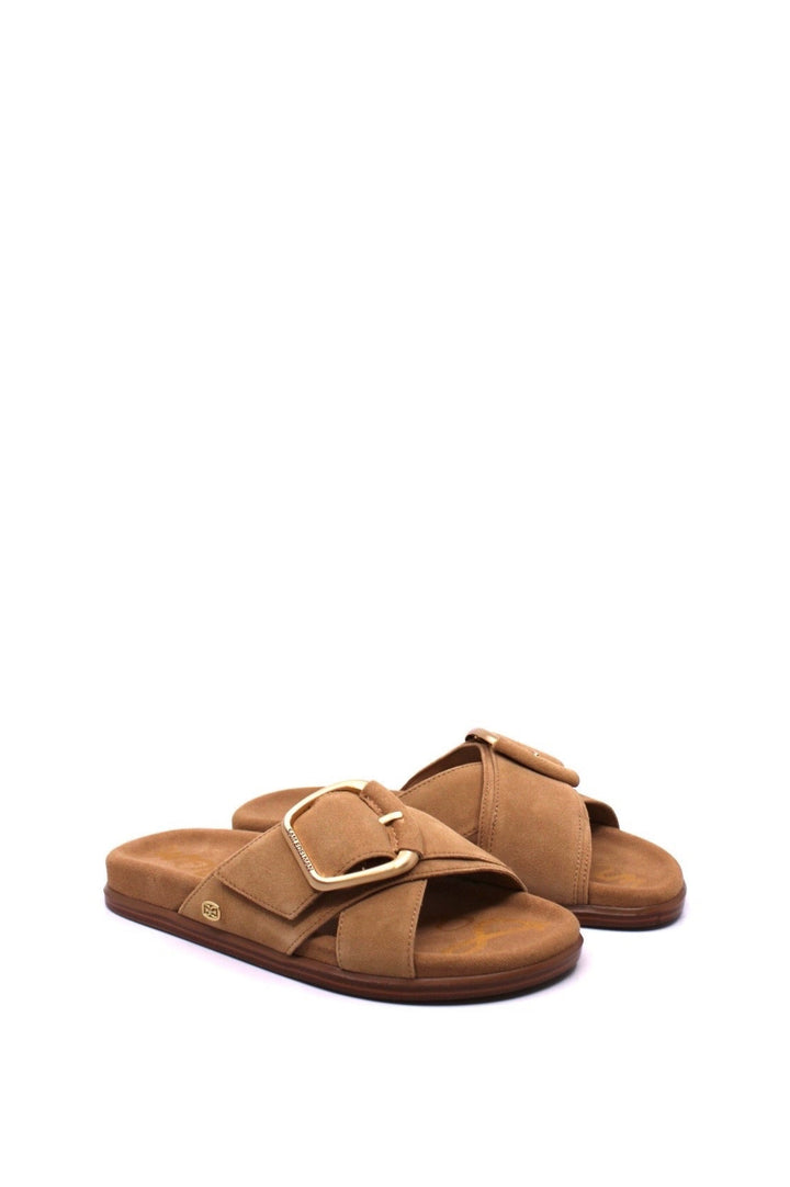 Sam Edelman Darla Tan Suede side view- Dear Lucy  With its cozy suede footbed and trendy gold buckle accents