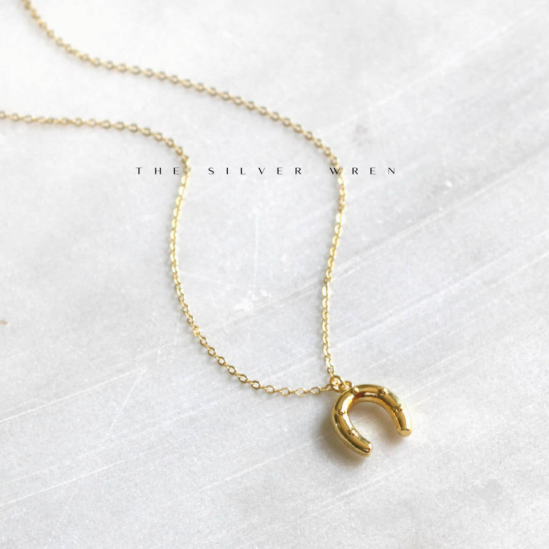 Silver Wren Western Pendant Necklace - Dear Lucy