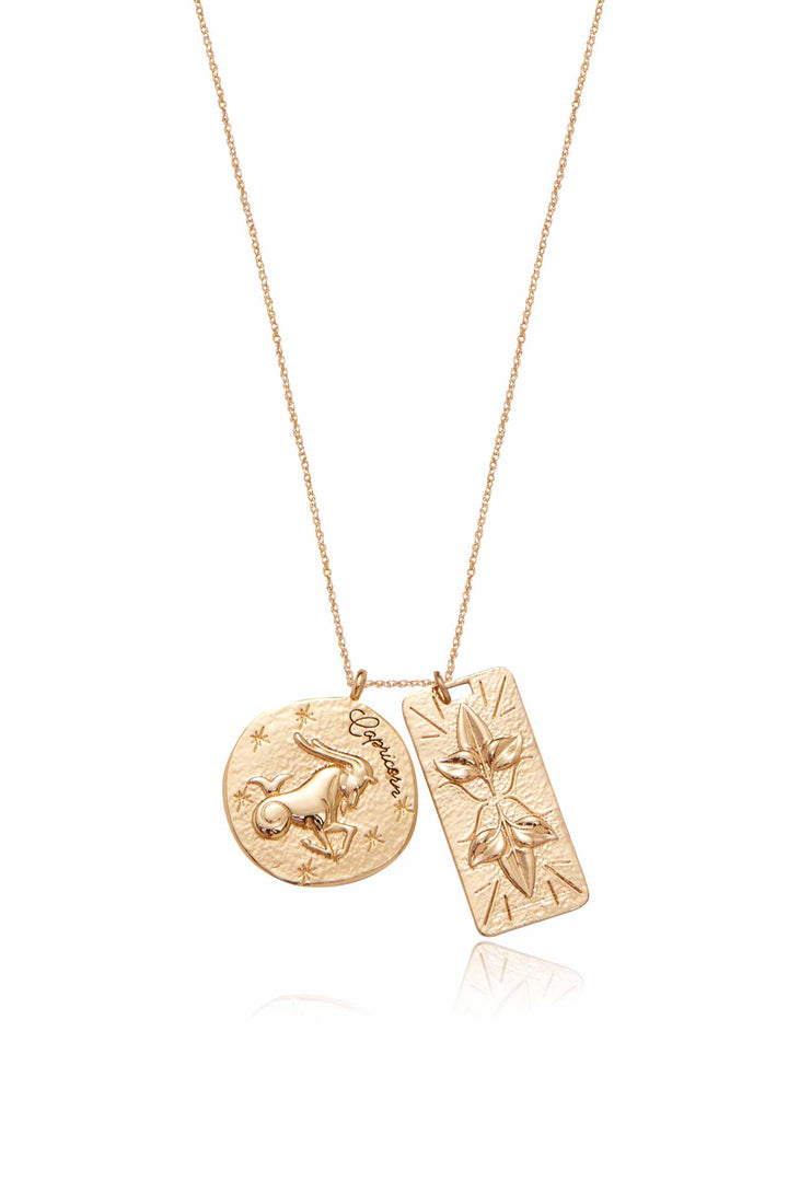 Ettika Zodiac Double Medallion Necklace