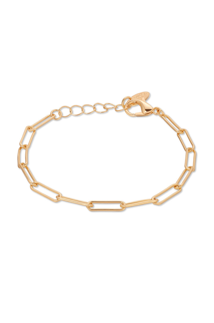 Links and Shine Bracelet Set of 2 - Dear Lucy
