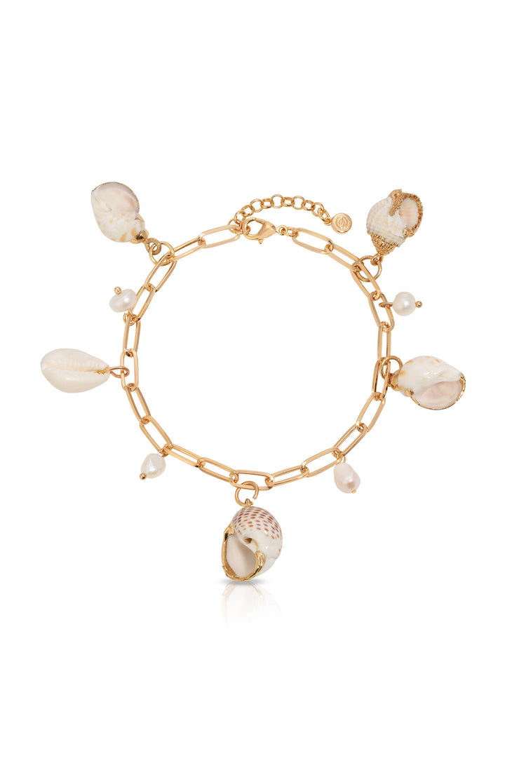 Ettika Paperclip Chain Multi-Shell Charm Anklet - Dear Lucy