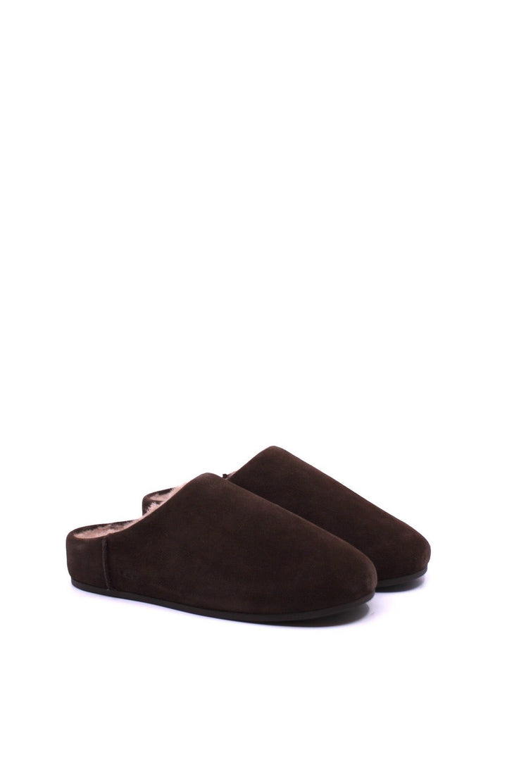 Pair of brown slippers mules on a white background