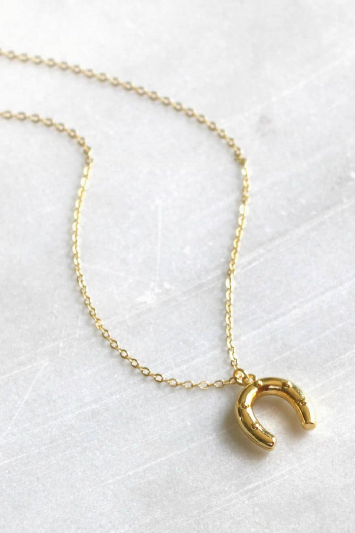 Silver Wren Western Pendant Necklace - Dear Lucy