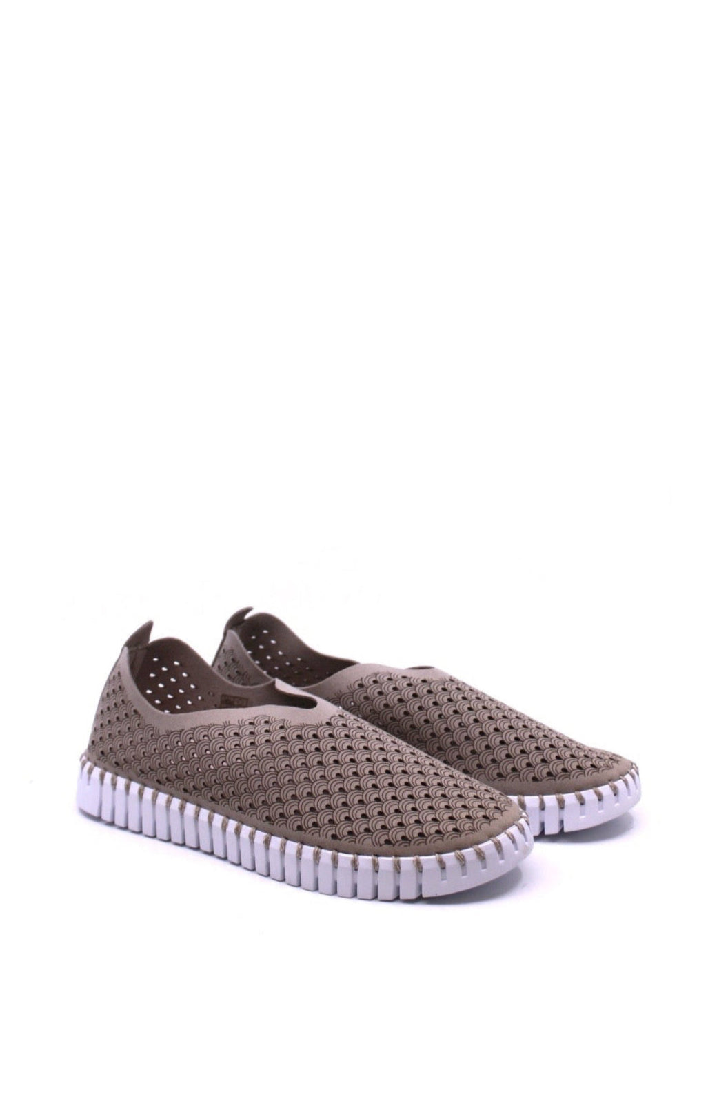 Women's Sneakers – Stylish & Comfortable Sneakers | Dear Lucy