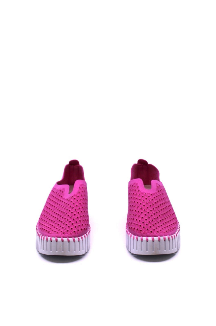 Ilse Jacobsen Tulip 3373 Platform Rose Violet front view- Dear Lucy
Features a perforated design, flexible and platformed sole, and easy slip-on style with a rubber sole and flexible leather upper in rose violet.
