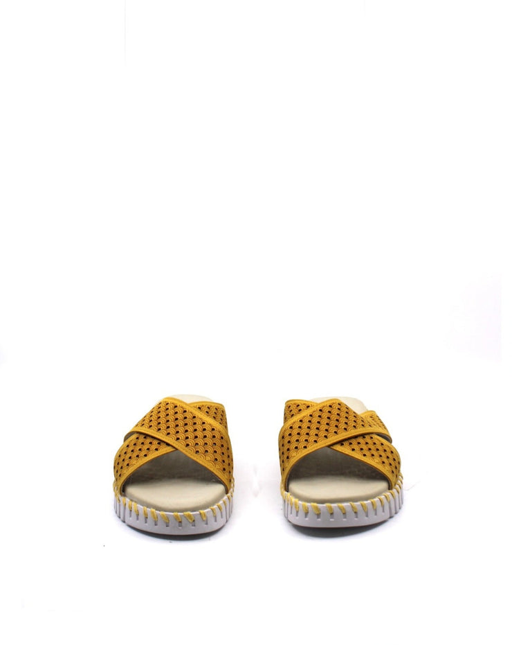 Ilse Jacobsen Tulip 1575 Cross Band Sandal Golden Rod - Dear Lucy